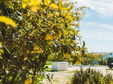 Casa de Cacela best boutqiue hotel algarve secretplaces