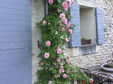 Domaine Les Martins