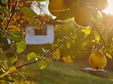 Traditional Bulgarian guest house surrounded by golden autumn leaves and stunning Balkan mountain views.